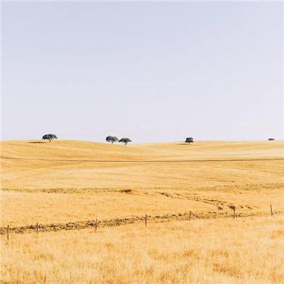 “内地农产品食品供澳25年工作纪实图片展”开幕